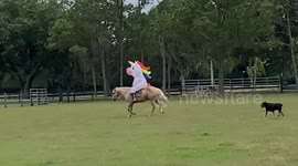 Florida woman rides horse wearing inflatable  UNICORN outfit while in quarantine