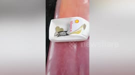 Bus in the Philippines uses honesty tubs to reduce contact amid Covid-19 pandemic