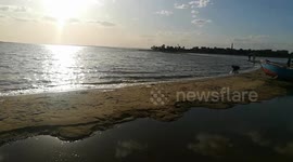 Directly Sunset On Qarun Lake Beach