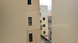 Bored pet dog stares out of window during Covid-19 lockdown in Malta