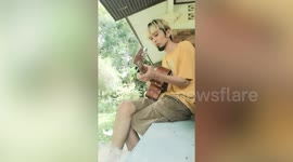 Pet cat ruins owner's selfie guitar video by flashing backside at camera!