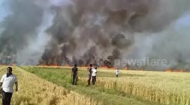 Massive blaze guts acres of farmland, crops in northern India