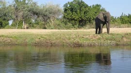 When you sit in a canoe floating down a river and pass a herd of elephants that are not happy to see you