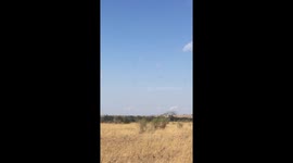 Vultures circling overhead