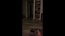 Tiger chases his ball under TV stand