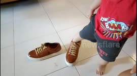 Funny toddler wearing dad's shoes