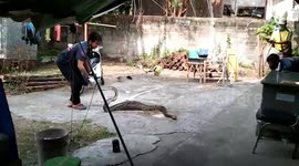 Huge python caught hiding in roof after eating pet cat in Thailand