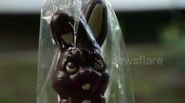 chocolate rabbit on easter