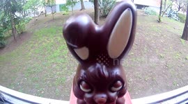 chocolate rabbit on easter