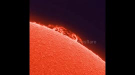 Ever wonder what a solar prominence the sun's surface looks like?