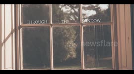 Lockdown positivity video about nature during isolation