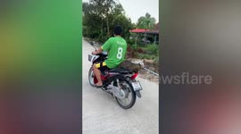 Kitten rides on the back of motorcycle during lockdown boredom