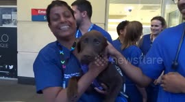 Puppy joins Chelsea and Wesminster health workers for the fourth #ClapForNHSCarers on 16 April