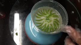 Vietnamese woman creating a variety of 3D flowers in gelatin cake