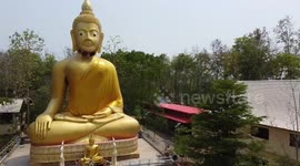Bees build beard-like nests on the chine of giant Buddha statue