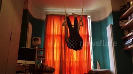 Lockdown Fitness for Kids ~ Practising Aerial Trapeze and Circus Skills on a homemade trapeze bar in her bedroom