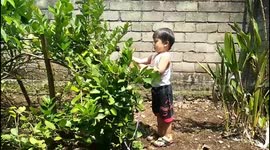 SUNBATHING AND HARVEST LIME