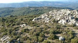 Foresta in sardegna