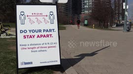 Toronto introduces the Canada goose as a unit of measurement for social distancing in coronavirus lockdown