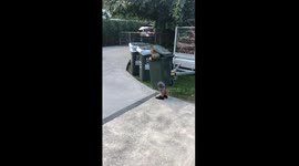 New Zealand kids attempt escape their COVID-19 lockdown in bins and bushes