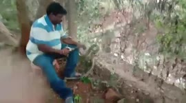 Man rescues snake stuck in garden fence using scissors in southern India