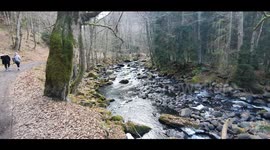 Great river sound. Beautiful autumn nature