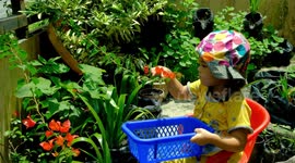 Activities kids at home : A Little girl picking flower in the garden