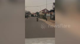 Motorcyclist carries live SNAKE with his free hand while riding in Laos