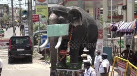 Officials in India parade life-sized model elephant wearing mask to raise awareness about coronavirus