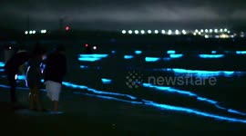 Glowing 'blue tears' phenomenon illuminates Chinese sea