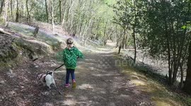 Self isolating child walking dog in local woodland Devon uk