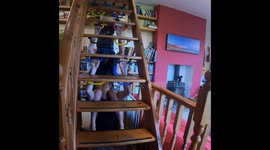UK family perform pull-ups together on set of stairs during COVID-19 lockdown