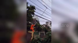 Chinese firefighters catch snake wrapped around power lines