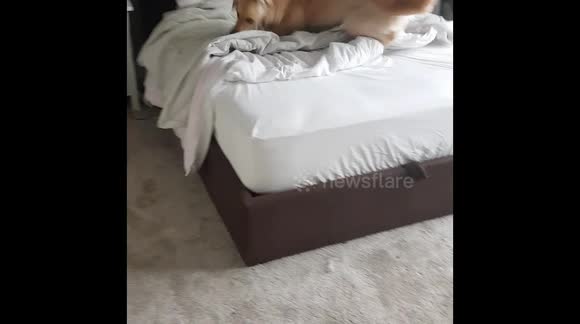temp