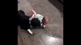 Kids and Pets (adorable moments)