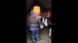 Toddler Goat