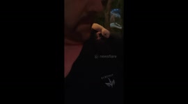 Leopard gecko kisses owner