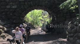 COVID19/Coronavirus Pandemic Epidemic Epicenter Prospect Park Bridge BKLYN NYC April 2020