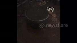ALEXA CHEAT CODE!!