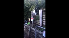 New Zealand family recreate McDonald's drive-thru for their daughter's birthday during COVID-19 lockdown