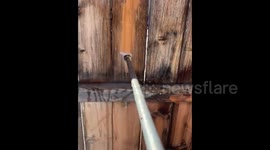 Discovering my old fence is actually brand new after pressure washing it