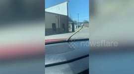 Louisiana mother terrified after snake climbs onto her car windscreen