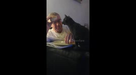 This cat has no manners and will steal your food