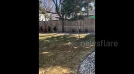 Satisfying pressure washing help Canadian man discover old fence is actually brand new