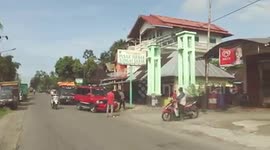 unique cattle market