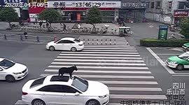 Dog spotted balancing on roof of car driving along road in China