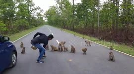 Man feeds hungry monkeys amid lockdown in northeastern India