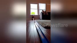 Texas family create huge toy car track while in coronavirus lockdown