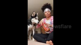 'Plastic wrap and peanut butter trick' Woman in New Hampshire uses peanut butter to cut her dog's nails