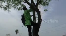 Dedicated teacher climbs TREE to get data connection and continue online classes